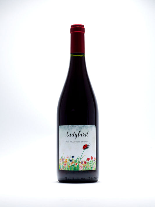 Ladybird, Cinsault